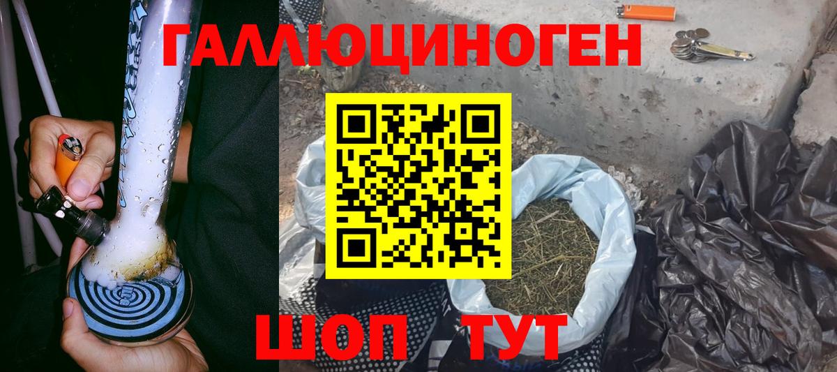 Псилоцибиновые грибы Psilocybe Сланцы