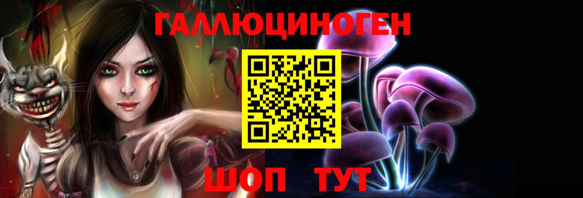 Сланцы  где продают наркотики  Галлюциногенные грибы мицелий  Вход с VPN  Псилоцибиновые грибы GOLDEN TEACHER 